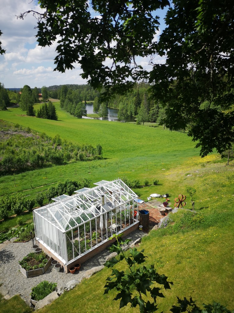 Utsikt fra tuntreet mot Sandbekk Mølle