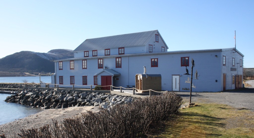 Gunnabuda, tidleg vår
