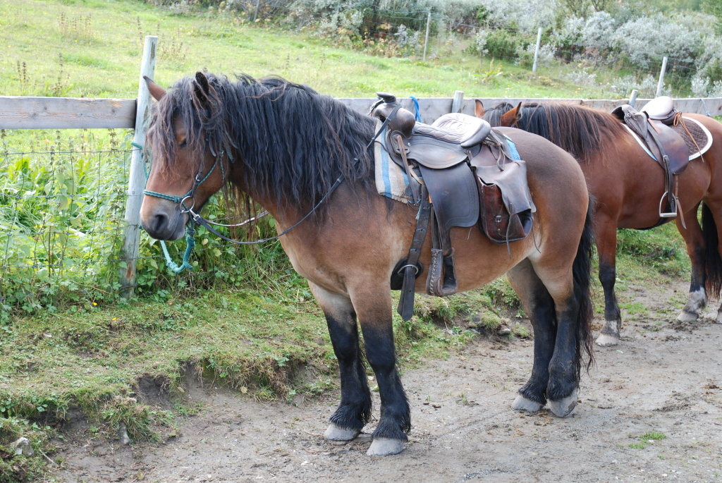 Falktind klar for tur