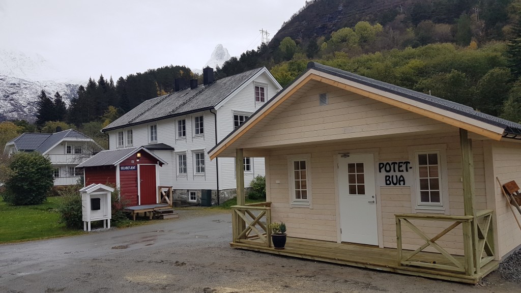 Nye Potetbua er oppe å går.