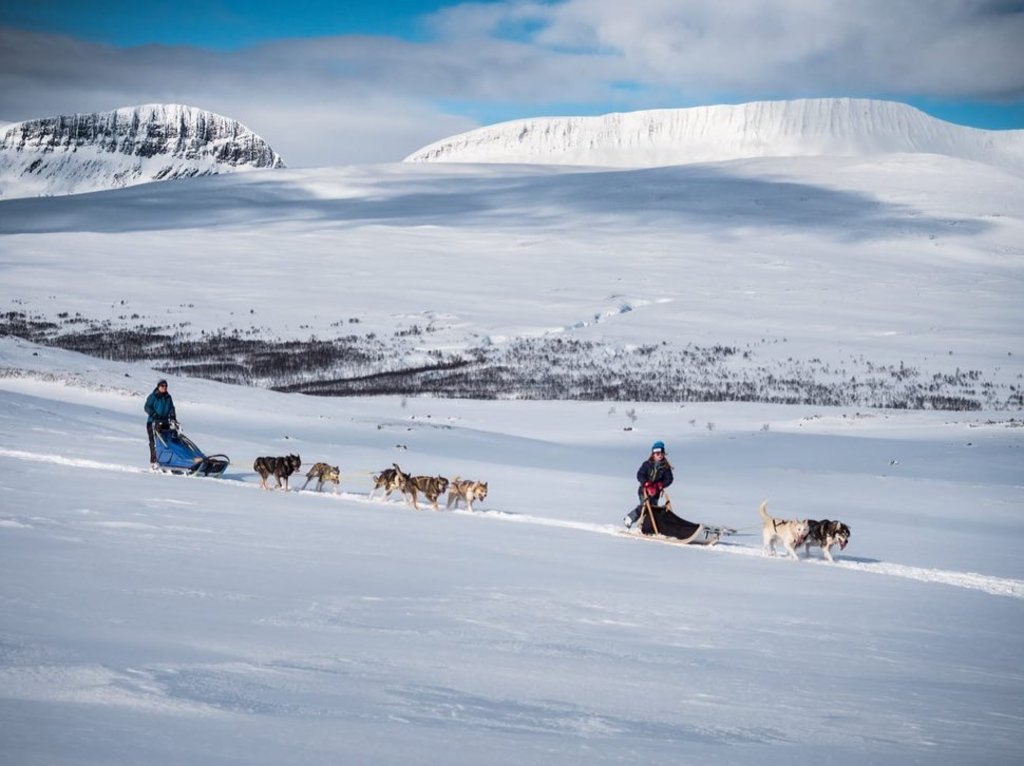 Hundekjøring i Dividalen