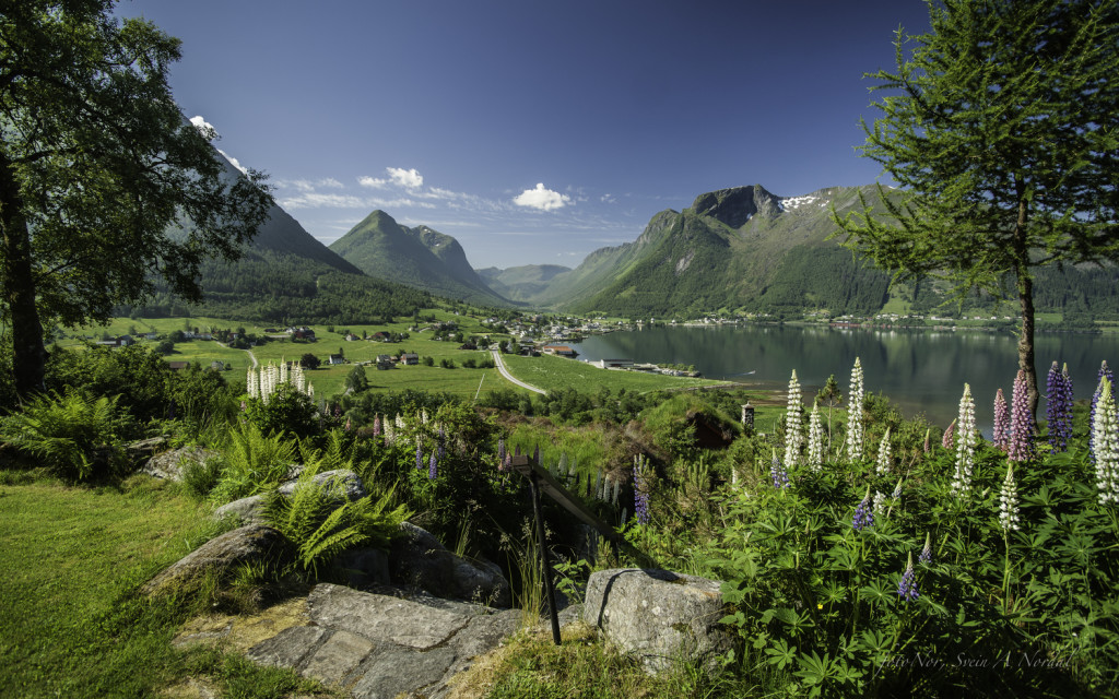 Utsikt fra Troll Fjordhytter