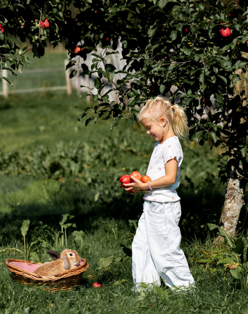 I frukthagen kan man plukke epler