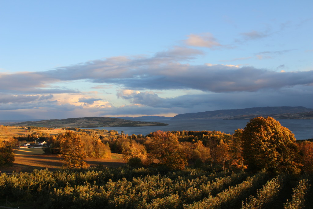 Utsikt mot Mjøsa og Helgøya