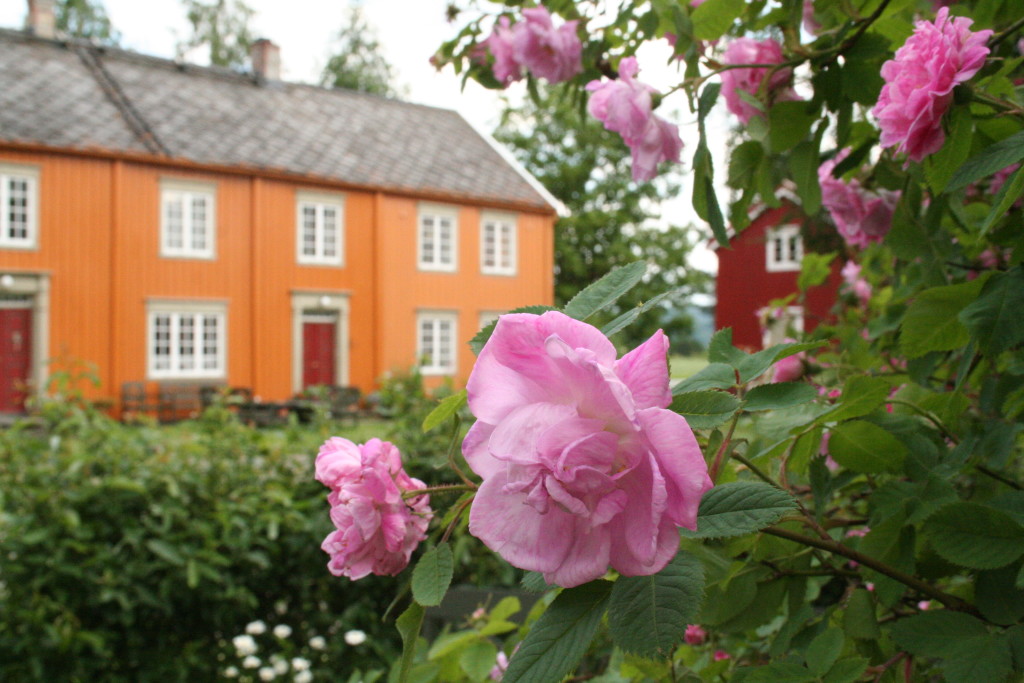 Tunet på Ersgard