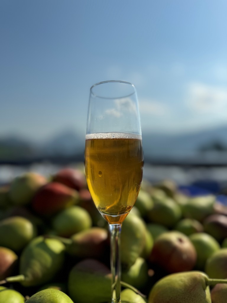 Av fruktmosten lagar vi drikkevarer med og utan alkohol - her er det alkoholfri sider i glaset