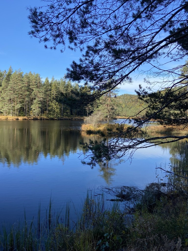 Turmulighetene i området er mange...