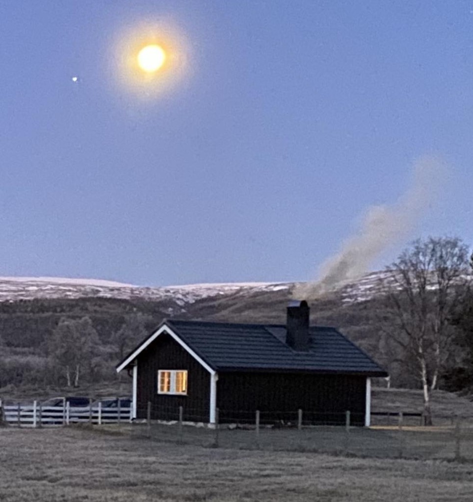 Utleiehytte på Tørresvangen Gårdsysteri