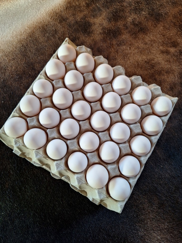 Kvalitets egg fra Frilandhøns