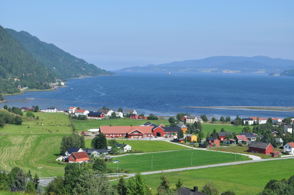 Oversiktsbilde over fjøs og ysteri og Orkdalsfjorden i bakgrunnen.