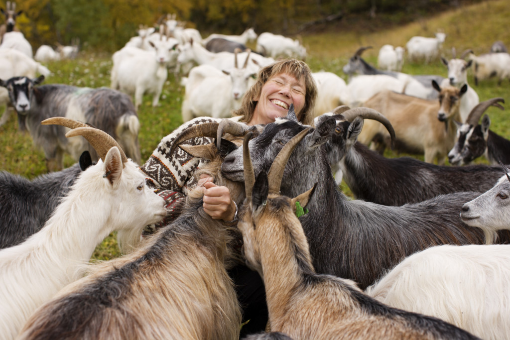 Siri med geitene