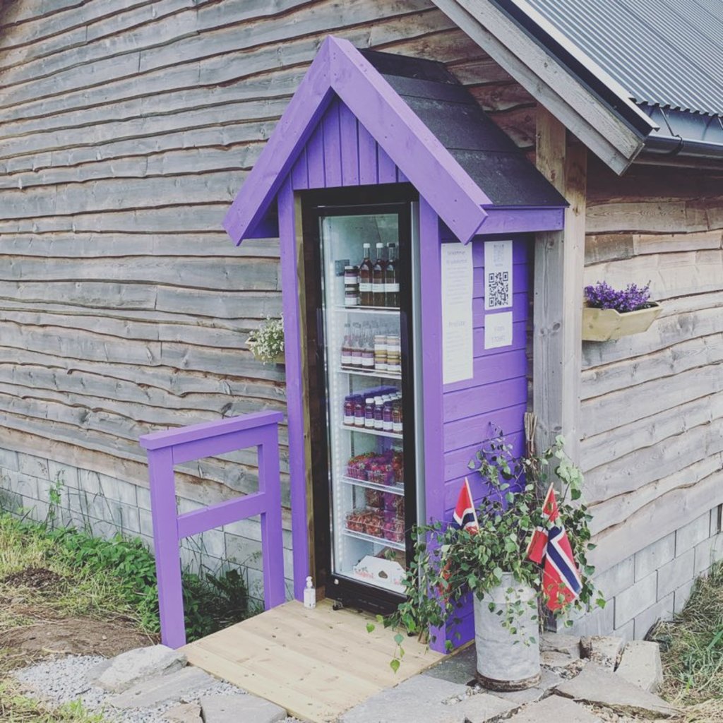 Syltekottet
Dette er ei sjølvbetjent salgbod som står lang vegen ved garden vår.
Den er open frå mai til oktober.
I syltekotte finn du ferske bær og frukt i sesongen og produkt av saft, syltetøy, gelear og fruktmost som vi lagar av frukt og bær på garden vår.