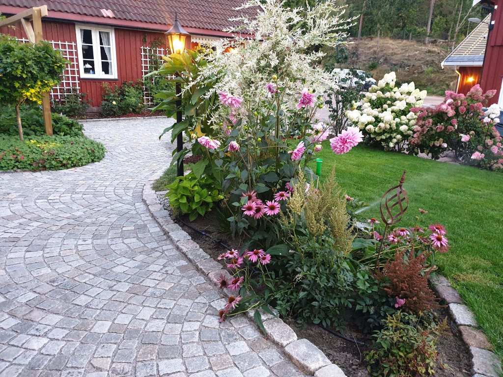 Stemningsbilde fra hagen