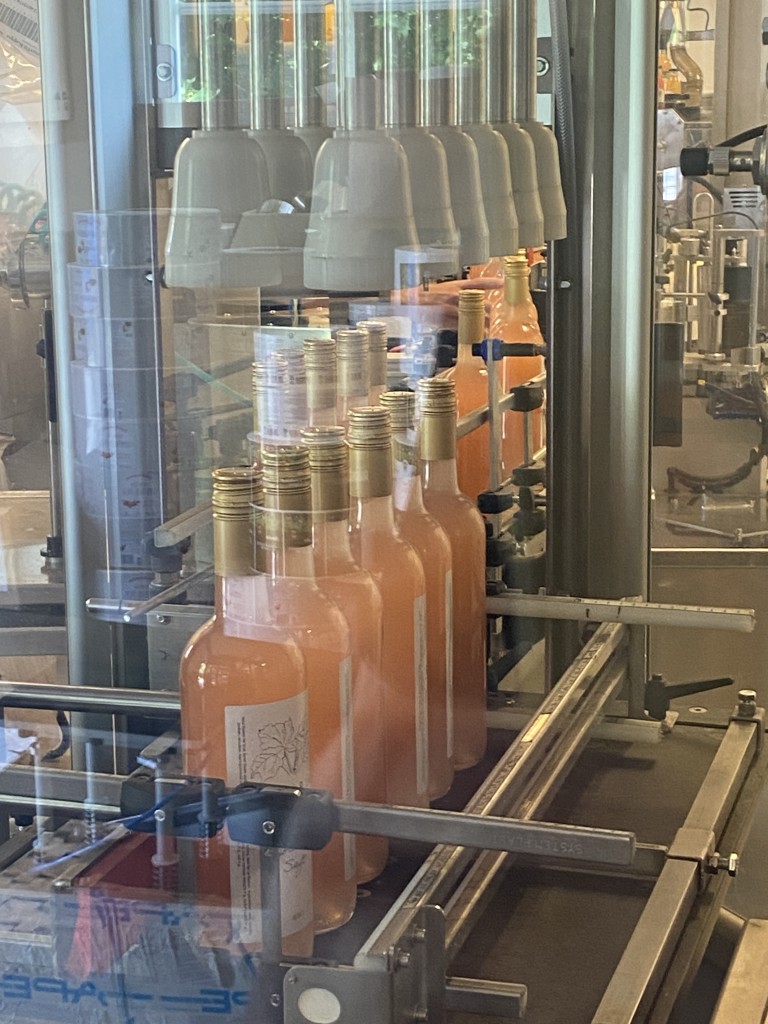 Produksjon av saft