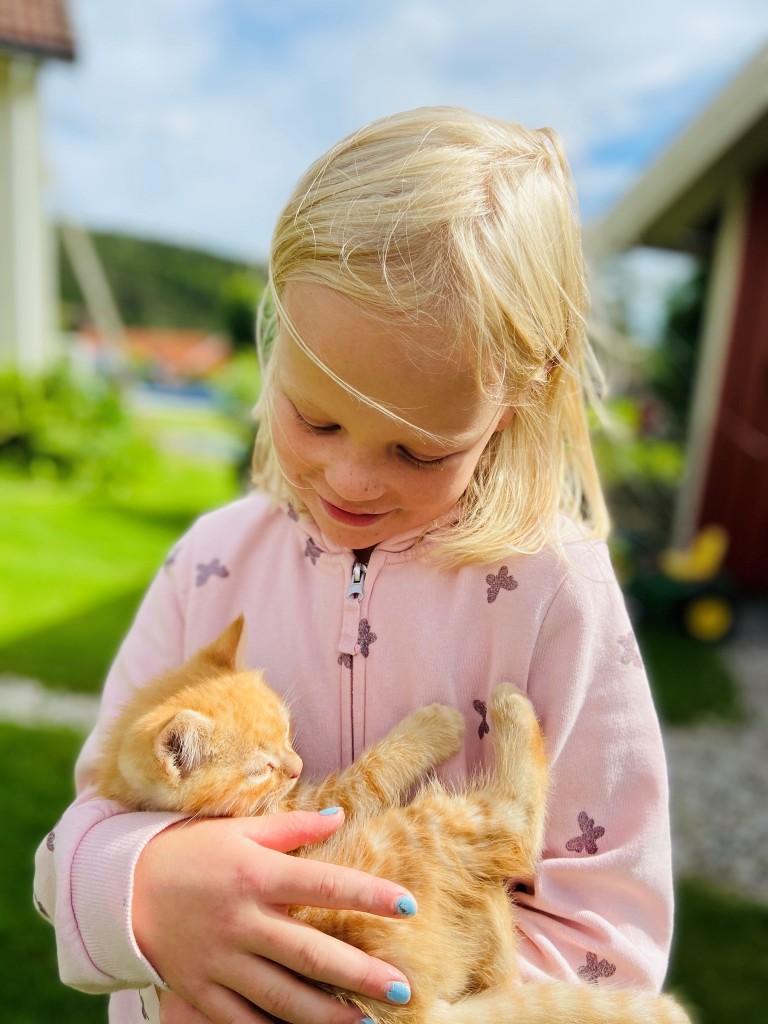 Hils på våre koselig gårdsdyr. Vi har hunder, katter og høner, og om sommeren kan du hilse på hester og sauer på beite.