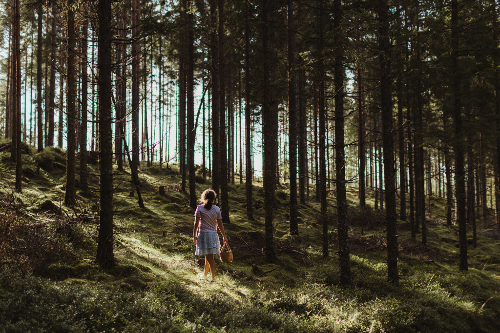 Skogstur på Medbørød
