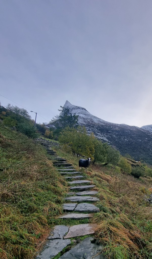 Siste del av Fosseråsa, før ein kjem opp på parkeringsplassen. Grindalsnibba i bakgrunn.