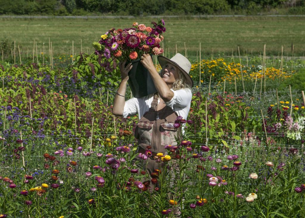 Velkommen til selvplukk på Fiori gården. Her kan du fylle en bøtte med nydelige blomster fra åkeren vår.