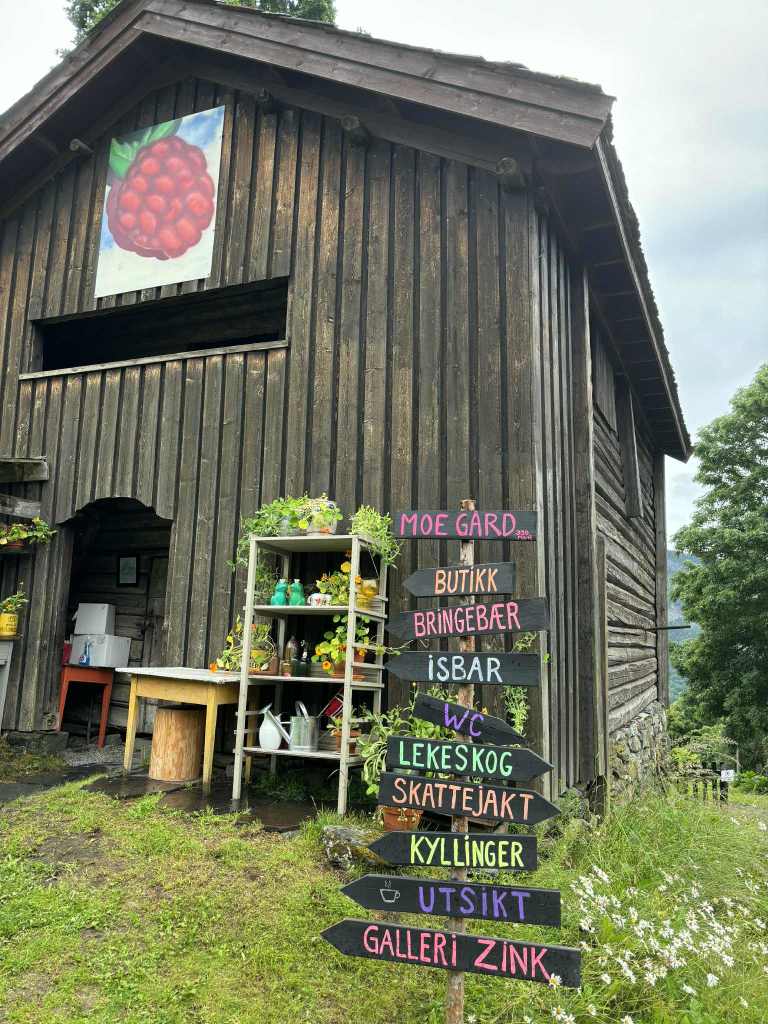 Bringebæropplevelser med butikk, selvplukk og isbar i bringebærsesongen.
