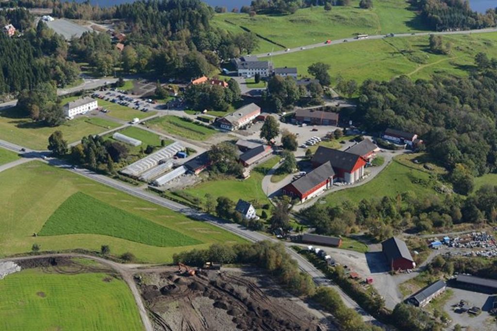 Flyfoto av Stend vidaregåande skule og Stend Gardsbutikk og Gartneri.