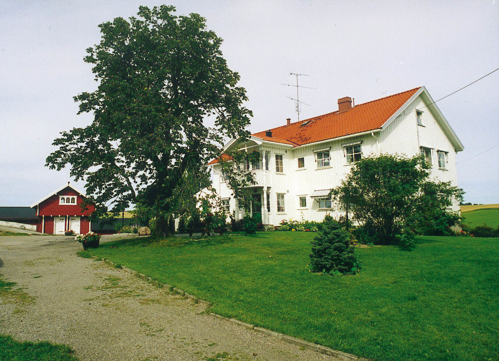 Tunet på Smedstad Gård