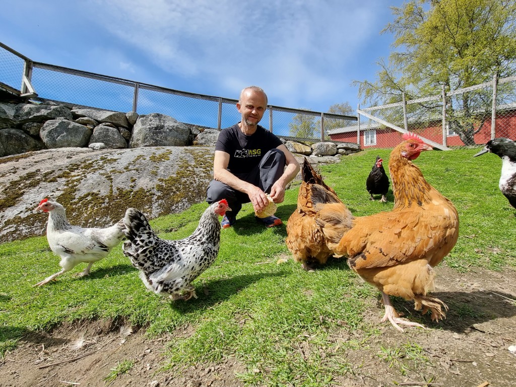 Frode og hønene