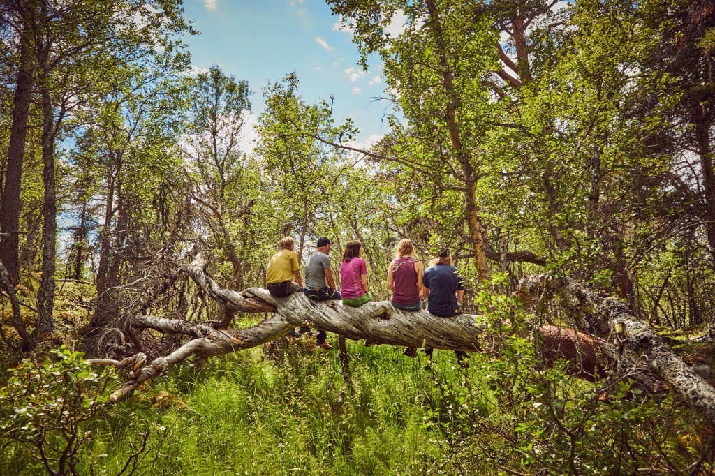 Urskogsafari i naturreservatene