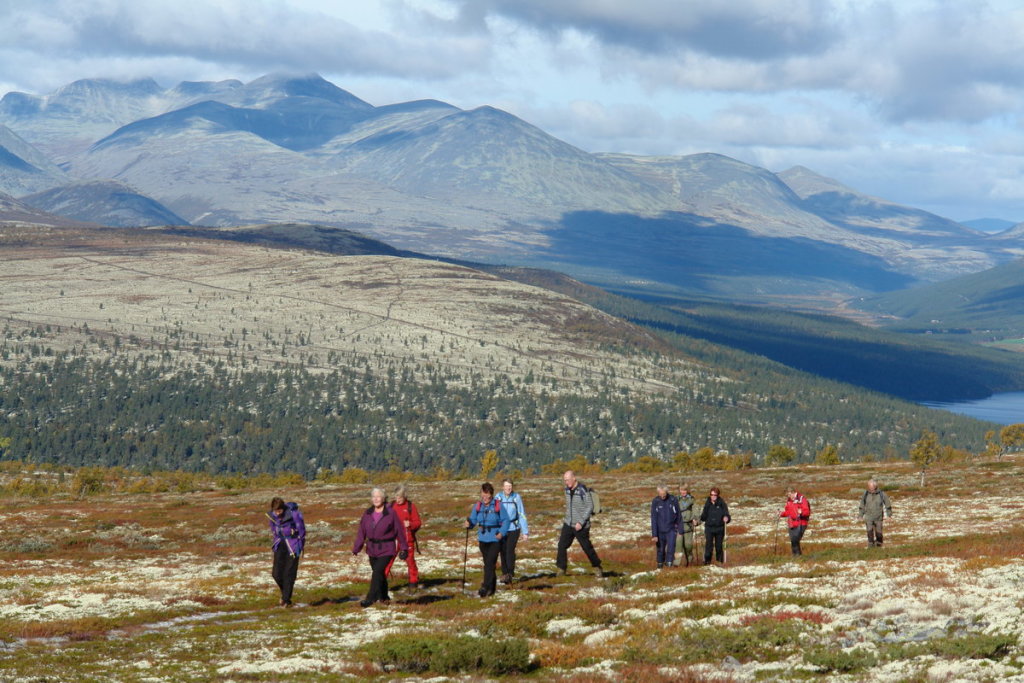 Fotturer med turleder i Rondane, Sollia og Ringebufjellene.