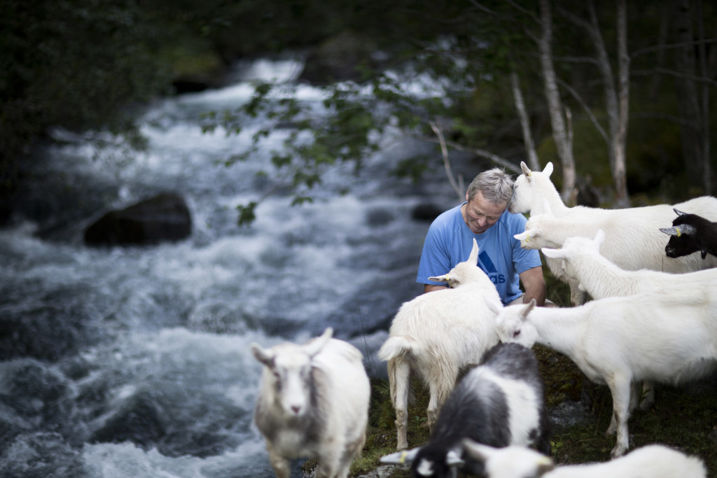 Kjesafari i Botnen - flott oppleving i mektig natur