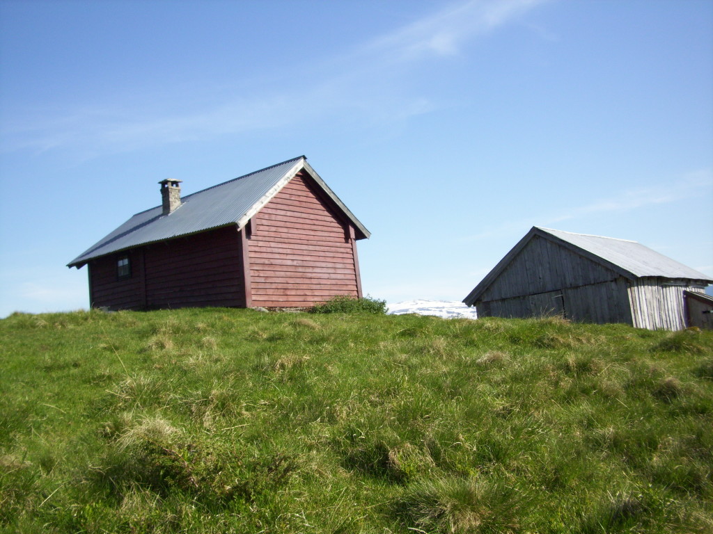 Holsetra