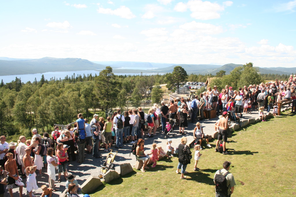 Omvisning en varm sommerdag