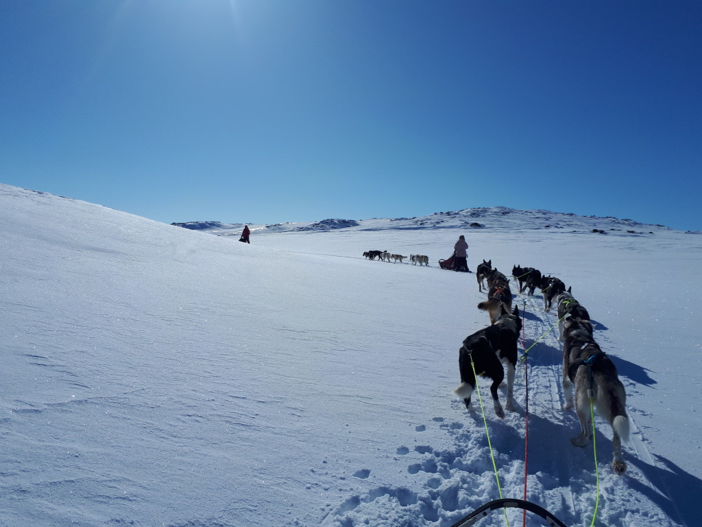 Vårtur i grensetraktene mellom Troms og Finnmark