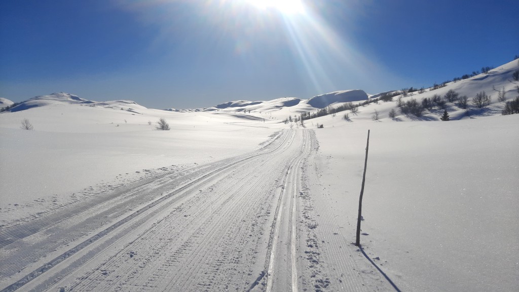 Skiløyper rett ut fra gården og inn i fjellheimen