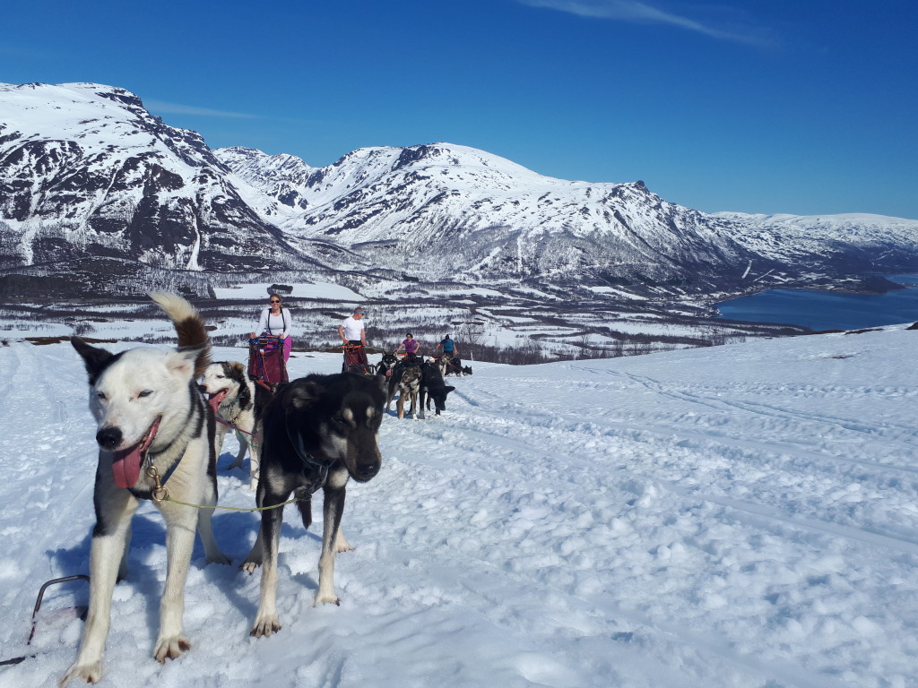 Vakker utsikt i Langfjordbotn