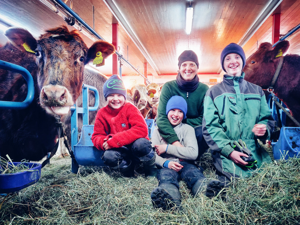 Me kjøpte Sygarden i juli 2018 og har drevet mjølkeproduksjon frå fyrste dagen. Nå har me femten kyr av rasen Vestlandsk fjordfe og foredler mjølka i eige ysteri.