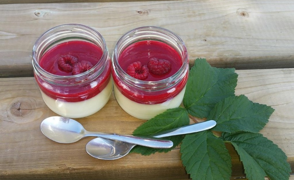 Pannacotta med deilig bringebærsaus