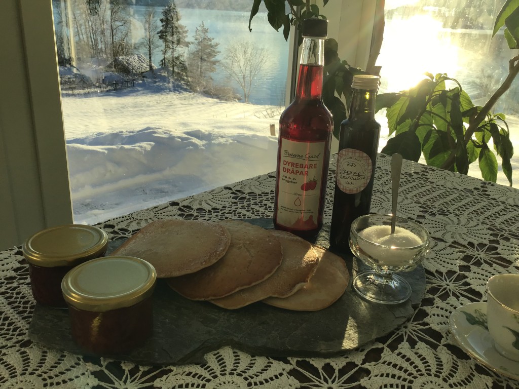 Fra Kaffistova på Breievne