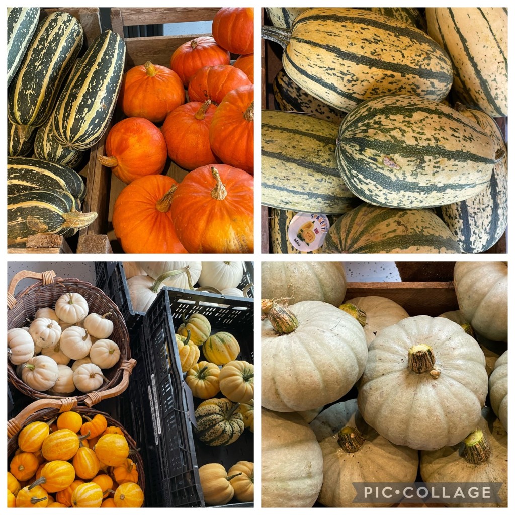 Stort utvalg gresskar