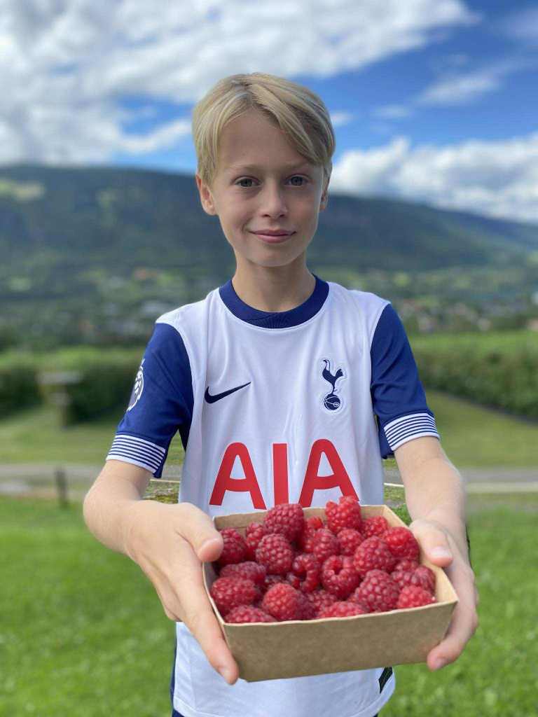 Selvplukk og kassesalg av bringebær.