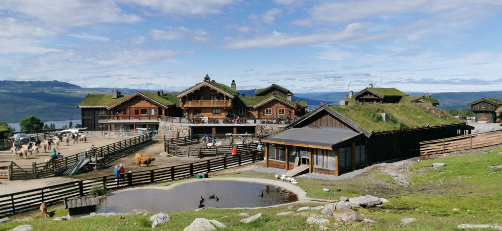 Gårdsplass og dyretun