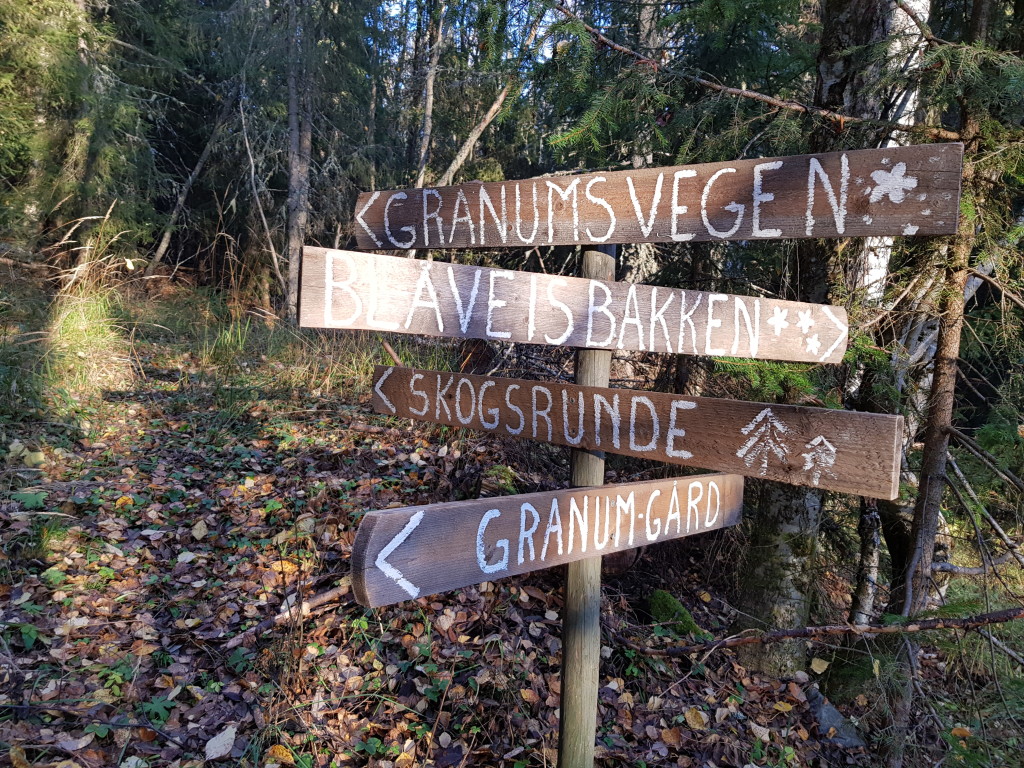 Vi har merket flere koselige skogsstier i området rundt gården. Her kan du oppleve blåveisbakker, granskog og hasselskog mm. Vi arrangerer små skogsvandringer hvor vi blir kjent med livet i skogen, får kjenne på stillheten og kanskje nyte et godt måltid. Både Lars Harald og Marianne har utdannelse i natur og miljø og kan en del om livet i skogen og deler gjerne av sin kunnskap...kanskje blir det litt poesi også.