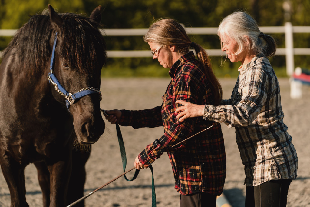 Hest og velvære