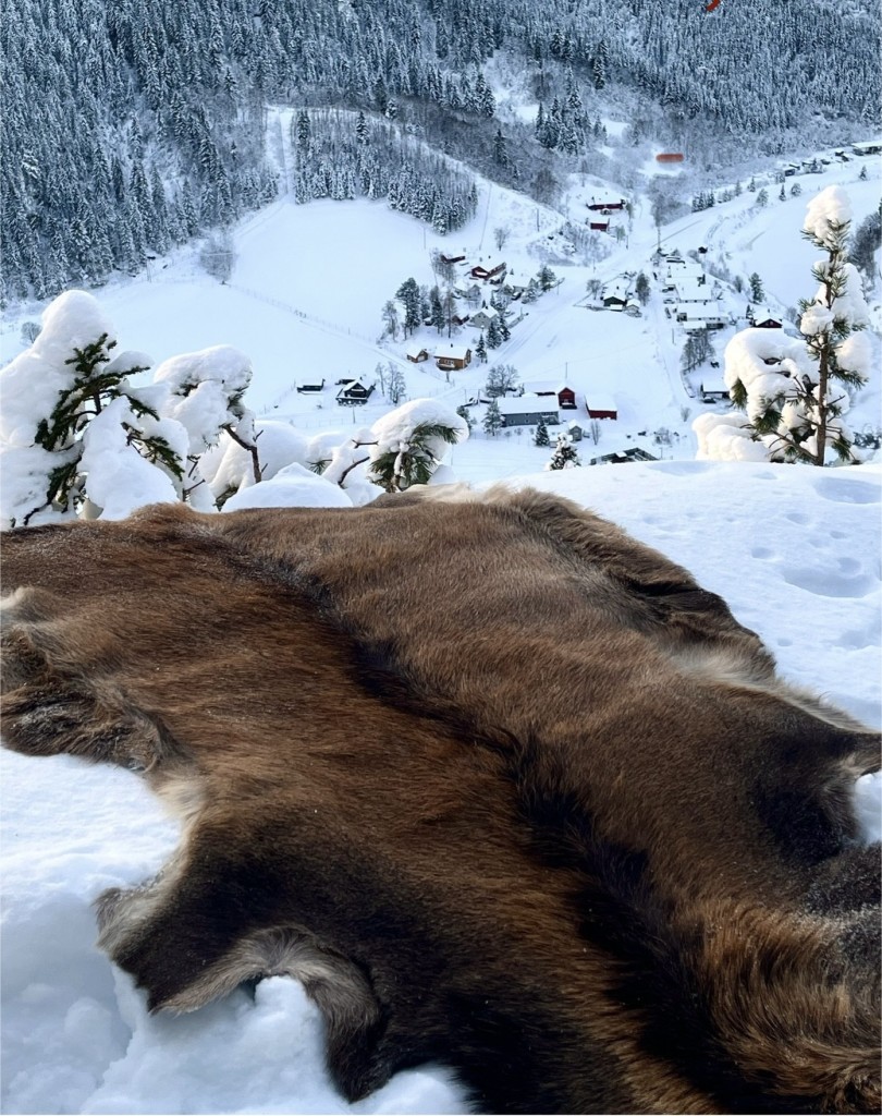 Utkikkspunkt Sagløkken