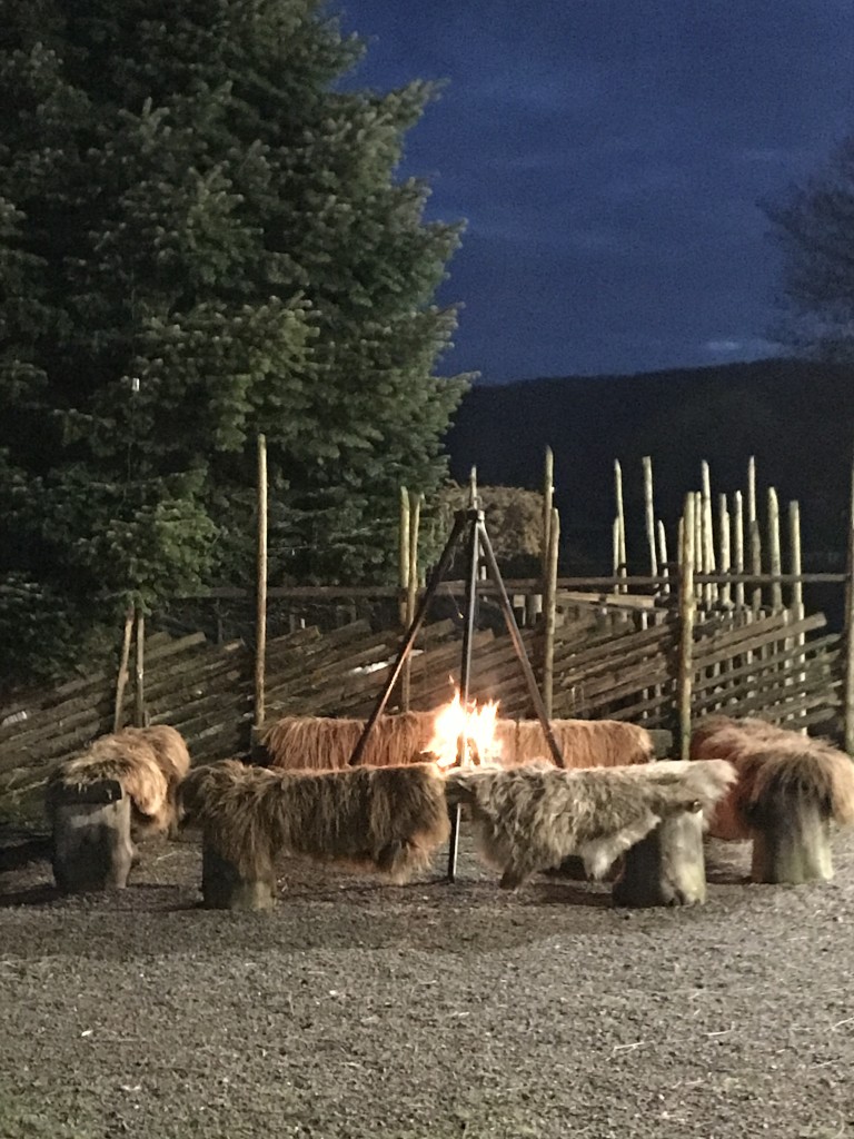 En høstkveld ved ene bålplassen. Det er tre koselige bålplasser på tunet og en i skogen.