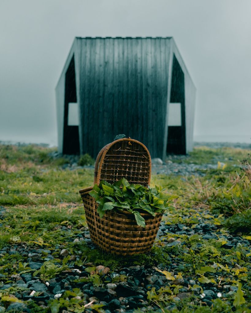 Vi høster fra den rike naturen som omgir oss