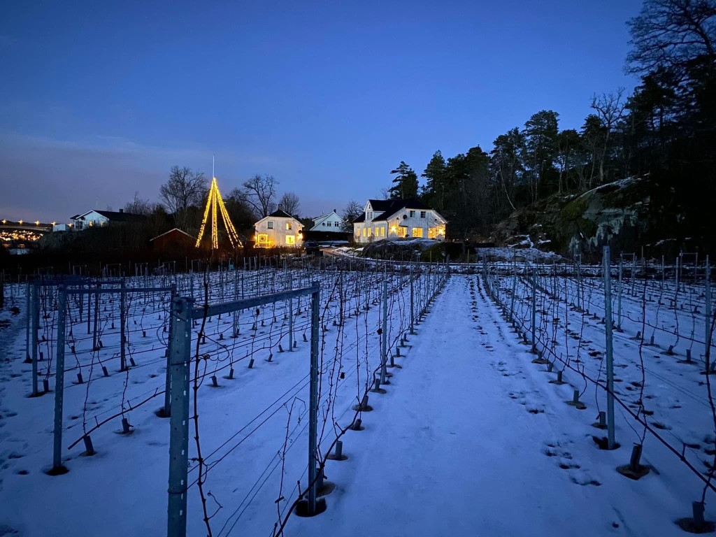 Førjulstemning, Tjøme Vingård