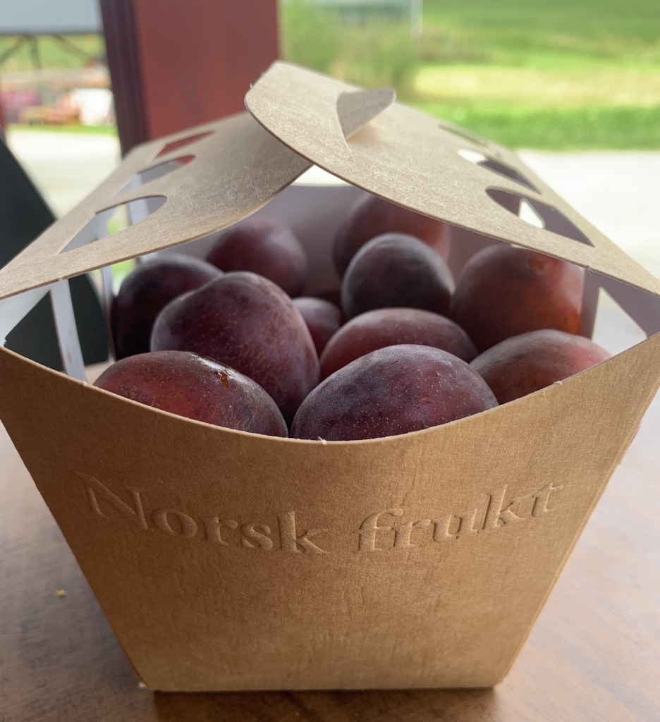 Nyplukket plommer fra Fruktbygda!