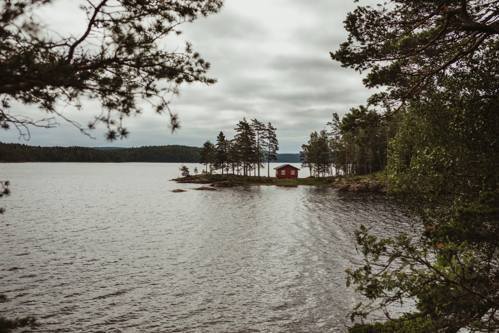 Skogskoia Klevtangen