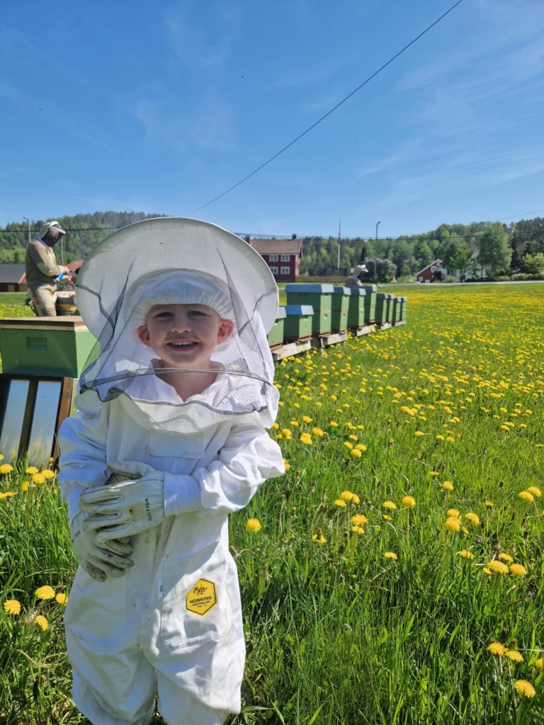 Eskil (4år) er endelig gammel nok til å bli med i bigården!