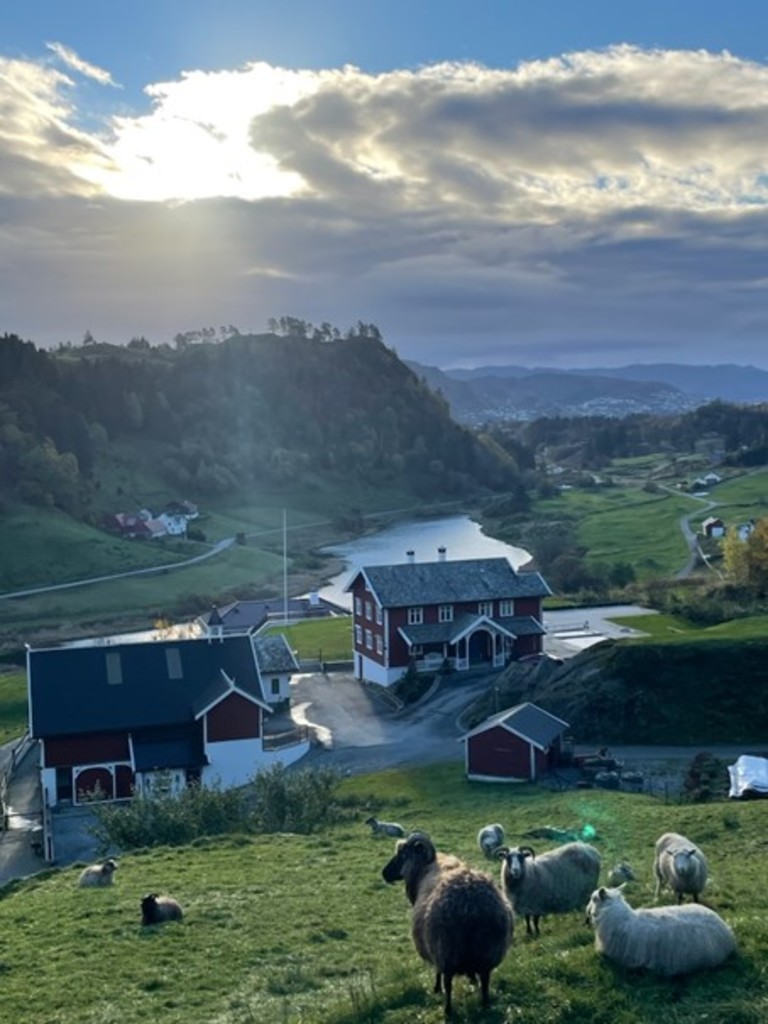 Øvre Dale Gård i Nordhordland – økologisk gårdsdrift med foredling og gårdsbutikk i tilknytning til tunet.